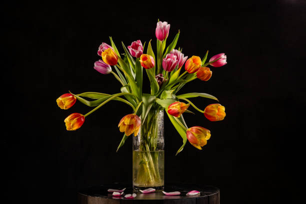istock Tulip flowers on black 2037012354