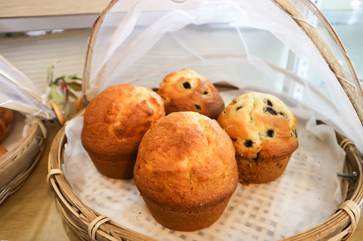 muffins or blueberry muffins in the tray for serve