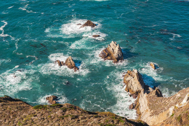 California Pacific Coast Landscape
