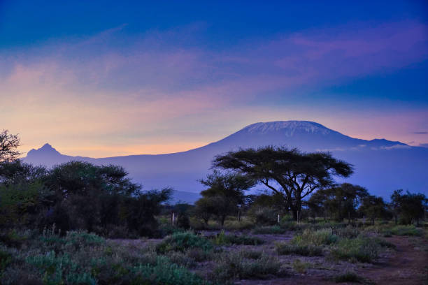 istock Mount Kilimanjaro at Amboseli 2037084609
