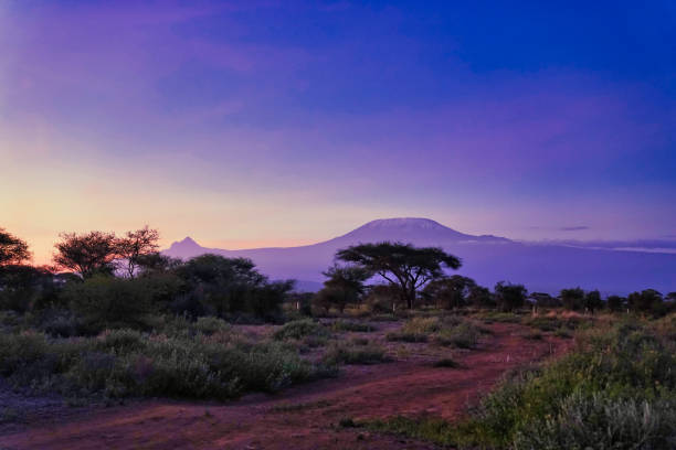 istock Mount Kilimanjaro at Amboseli 2037085152