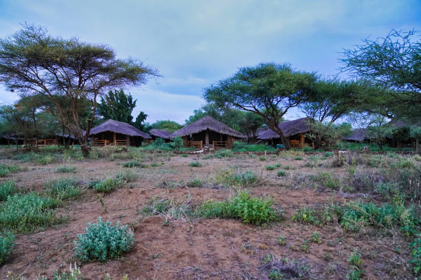 istock Amboseli Kibo Safari Lodge 2037095680