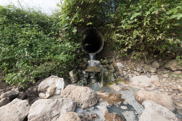 istock A sewage outlet in the weeds 2037100469