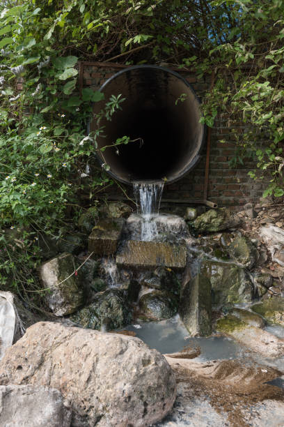 istock A sewage outlet in the weeds 2037100477