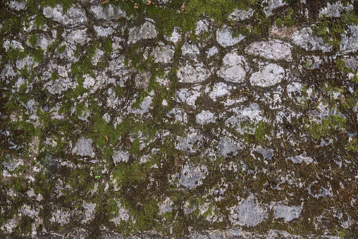 An old stone wall covered with moss