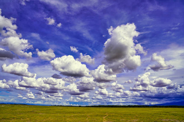 Unique cloud formations against a bright blue sky over the vast grass plains of the Amboseli National Park, Kenya