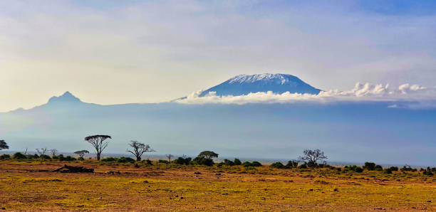 istock Mount Kilimanjaro at Amboseli 2037121251