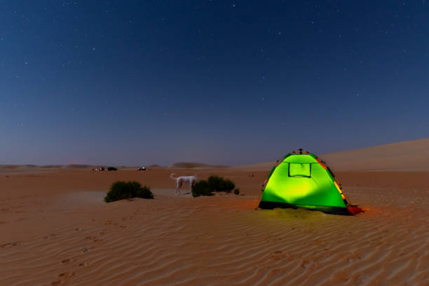 istock night sky over the camping tent during off road in desert. 2037138809