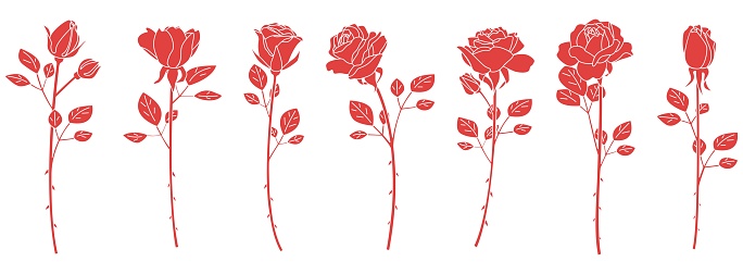 Single rose silhouette set, variation material, icon, vector