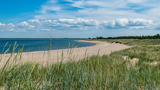traditional sunny summer landscape with sandy and pebbly promontory, blue sea and sky, Harilaid Nature Reserve, Estonia, Baltic Sea