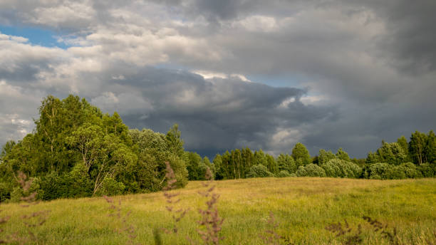 istock landscape with clouds, forest in the background and meadows in the foreground 2037227604