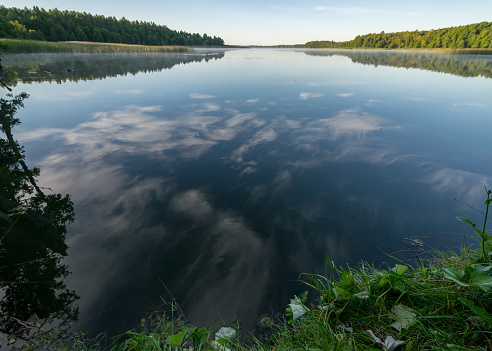 cloud reflections in clear and calm lake water, forest in the background, summer morning on the lake shore