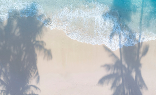 Abstract of the tropical beach with  Aqua waves and coconut palm shadow on blue background.