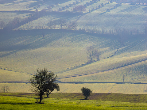 Terni, Umbria, Italy: Agricultural landscapes in Umbria