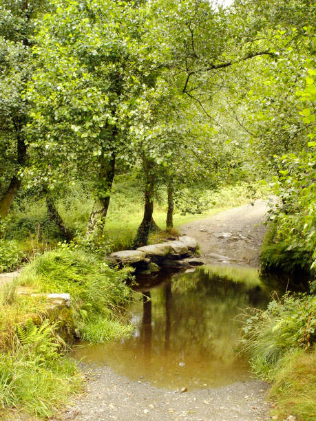 Crossing Catasol river, flowing water, \