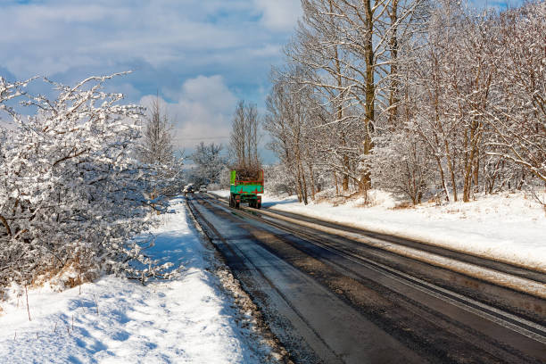 istock Snowy road in winter forest 2037343138