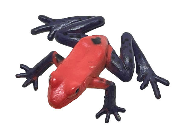 istock The toy is a red toad with blue spotted paws on a white background 2037439673