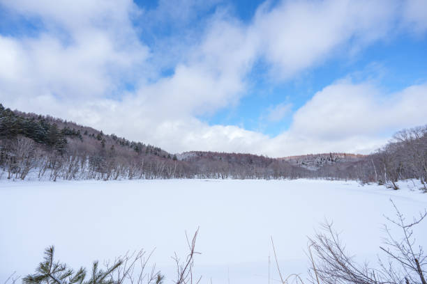 This is the Kotorigaike pond near Togakushi Shrine. The water surface is frozen and covered with snow.