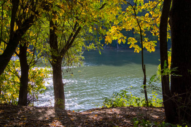 Tisza river near Martely and Szeged in autumn at the abandoned harbor