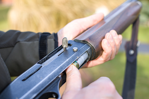 The hunter inserts a cartridge into the rifle. Close up view.