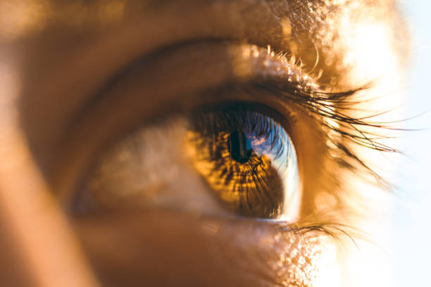 istock Eye detail, Barcelona, Spain 2037477202
