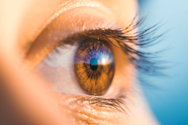 istock Eye detail, Barcelona, Spain 2037477203