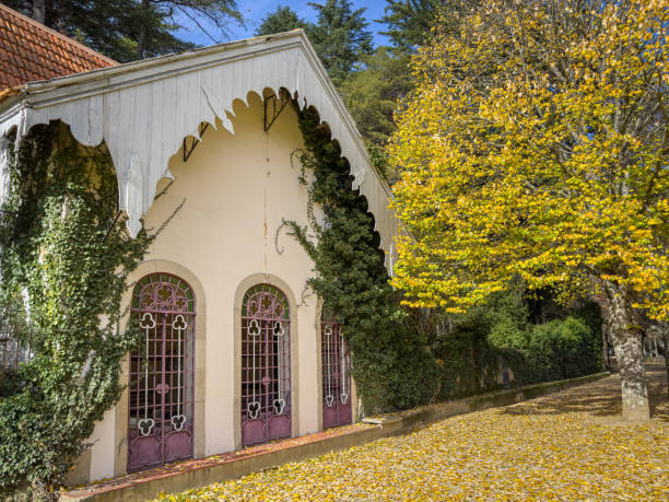 An old traditional cottage with a thatched roof surrounded by lush green forest on Madeira Island. The scene highlights the island’s rustic charm and connection to nature