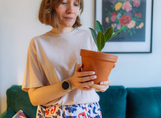 istock Woman holding potted plant 2037593243