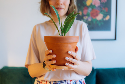 Close-up of mid adult woman holding a small potted plant, with a hint of a cozy home interior in the background. Selective focus is on the plant