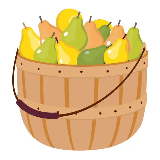 Vector illustration of PEARS WICKER BASKET