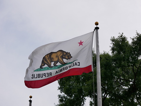 large flag of the states of California fluttering into the wind