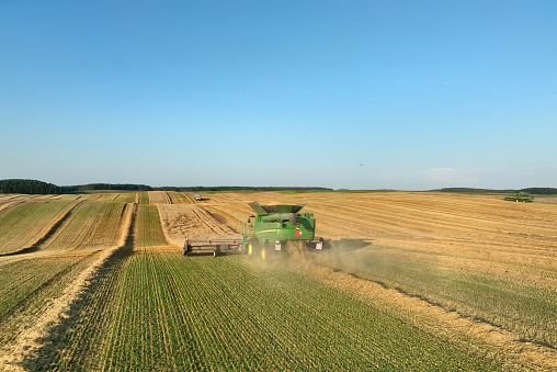 Combine harvester on Wheat harvesting in field. John Deere Combine harvester on Wheat planting. Wheat and corn. Farm field with Rye. Harvester on harvesting in field. Kazakhstan Alma-Ata, Aug 12, 2023