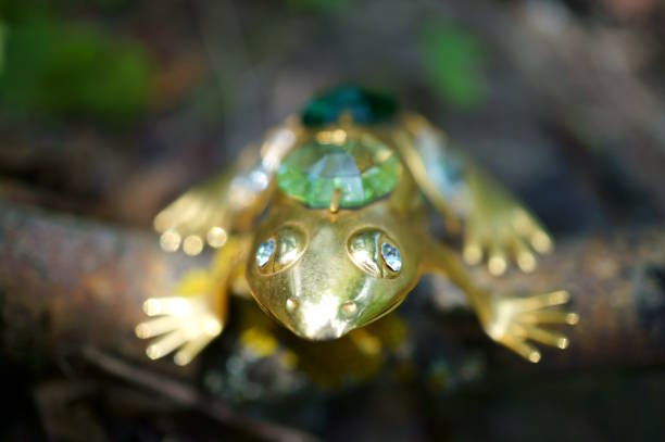 Japanese tree frogs, found in rice fields and grassy areas, have the amazing skill of being able to change the color of their bodies. They often change the color of their bodies to match their surroundings, for example being green when they are resting on grass. They have round suction cups on all of their fingertips, which makes them good at climbing trees. They also have the special skill of being able to stick to window glass.They can change the color of their backs to match their surroundings and background.