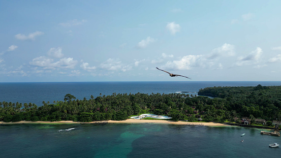 Aerial view of a Falcon flying on the coast of sunny Sao Tome, West Africa