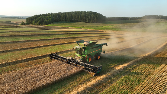 Combine harvester on Wheat harvesting in field. John Deere Combine harvester on Wheat planting. Wheat and corn. Farm field with Rye. Harvester on harvesting in field. Kazakhstan Alma-Ata, Aug 12, 2023