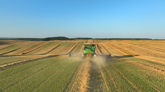 Combine harvester on Wheat harvesting in field. John Deere Combine harvester on Wheat planting. Wheat and corn. Farm field with Rye. Harvester on harvesting in field. Kazakhstan Alma-Ata, Aug 12, 2023