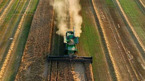 Combine harvester on Wheat harvesting in field. John Deere Combine harvester on Wheat planting. Wheat and corn. Farm field with Rye. Harvester on harvesting in field. Kazakhstan Alma-Ata, Aug 12, 2023