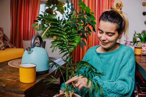 Woman examining plants at home