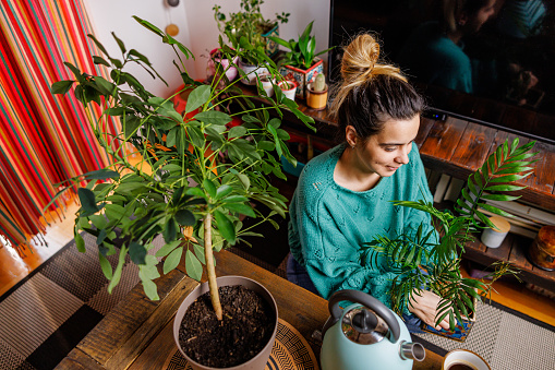 Woman examining plants at home