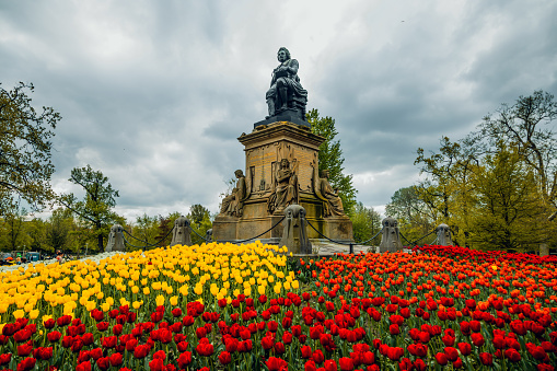 Statue of Joost van den Vondel with red and yellow tulips on a beautiful spring morning in the Vondelpark in Amsterdam, the Holland
