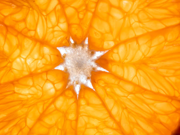 istock Slice of tangerine. Close Up, top view 2037803207