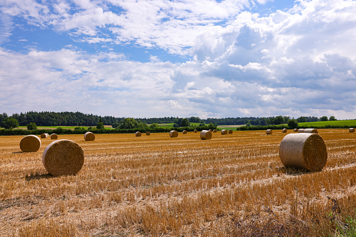 straw bales on a stubble field in rural Switzerland