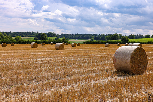 Stock photograph of round straw bales on field and cloudy blue sky.