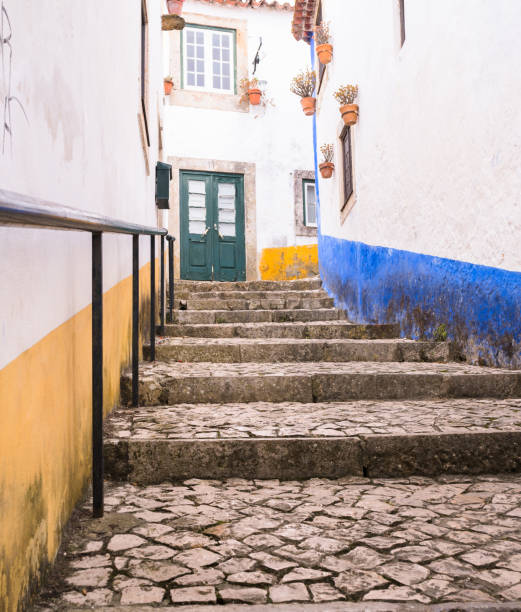 The narrow cobbled street of an old historical town with steps leading up.