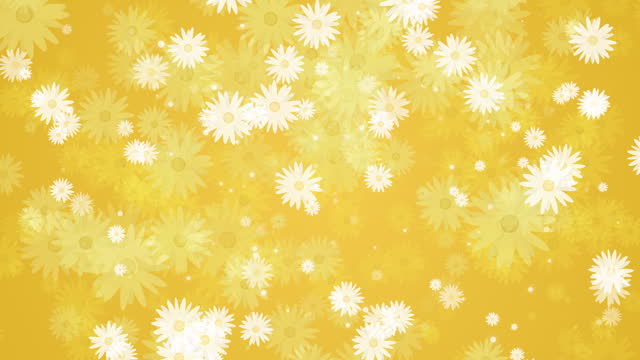 Chamomile flowers with white petals. Summer plants that rotate, appear and disappear. Seamless yellow background. Abstract motion graphics. Looped video.