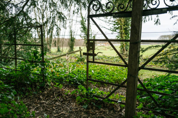 istock Wrought iron gate seen at an overgrown exit to an English stately home. 2037839067