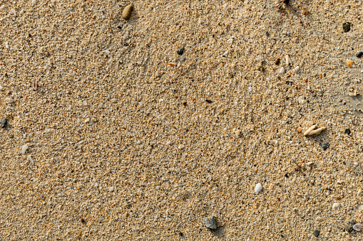 Sand texture. Sandy beach for background. Top view. Natural sand stone texture background. sand on the beach as background.