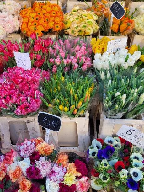 istock Nice, the flower market: Alpes Maritimes 2037875401