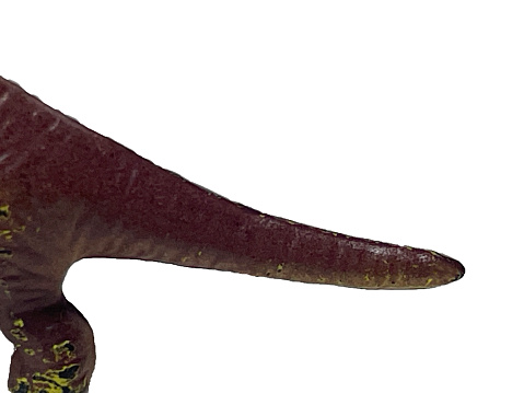 The tail of a toy dinosaur on a white background. Animal body part dinosaur on white background