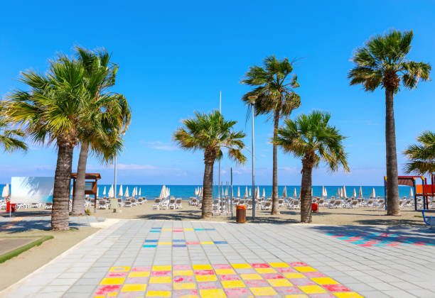 Good morning palm trees Yasmine Hammamet, Tunisia, Africa